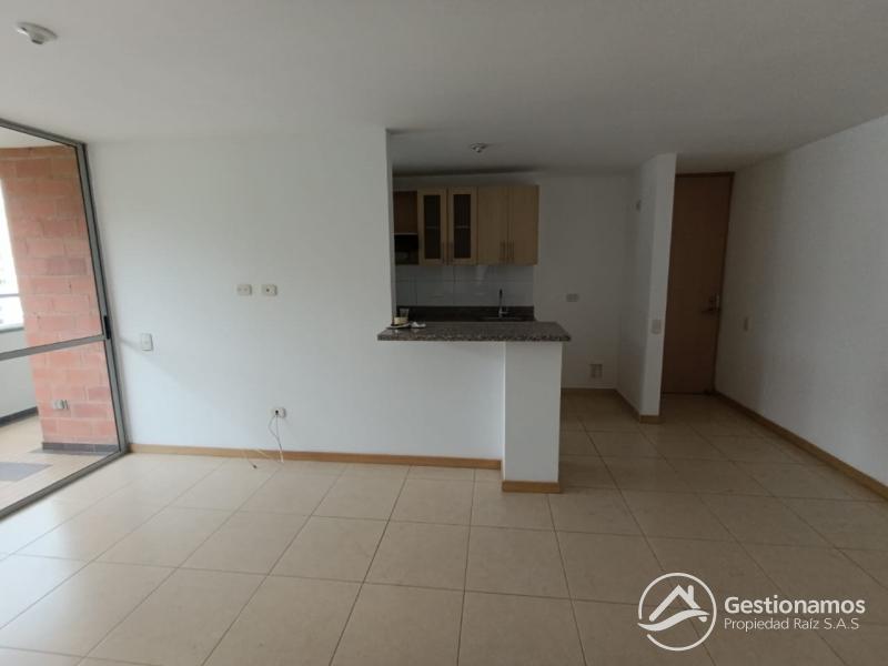 WhatsApp Image 2026-01-14 at 9.31.16 AM.jpeg